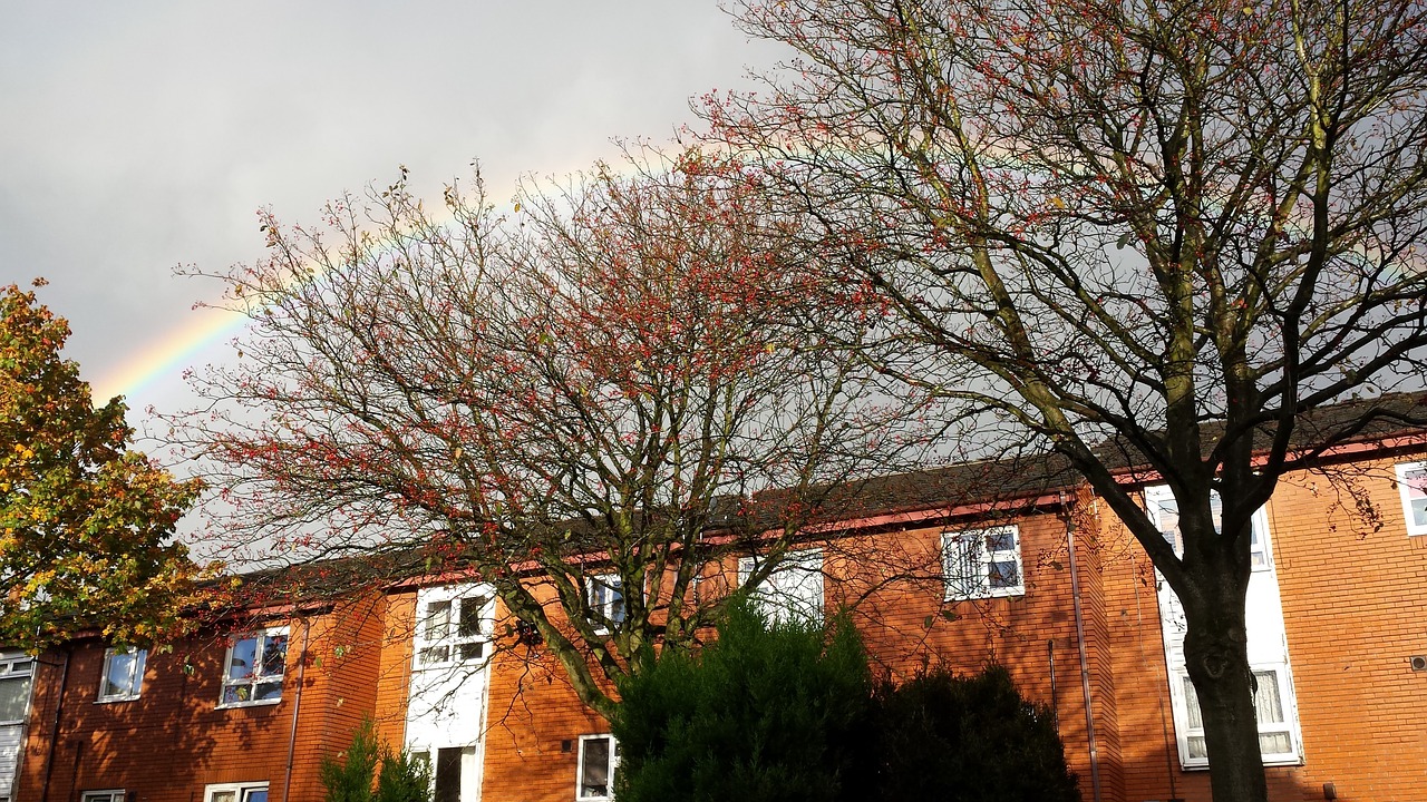 rainbow sky outdoor free photo