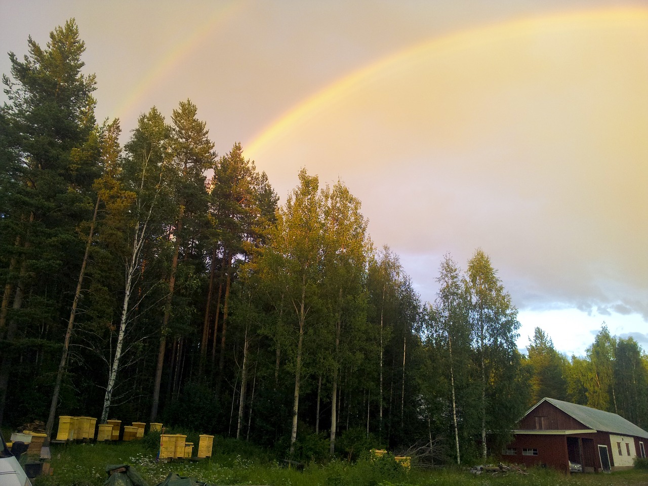 rainbow north country free photo