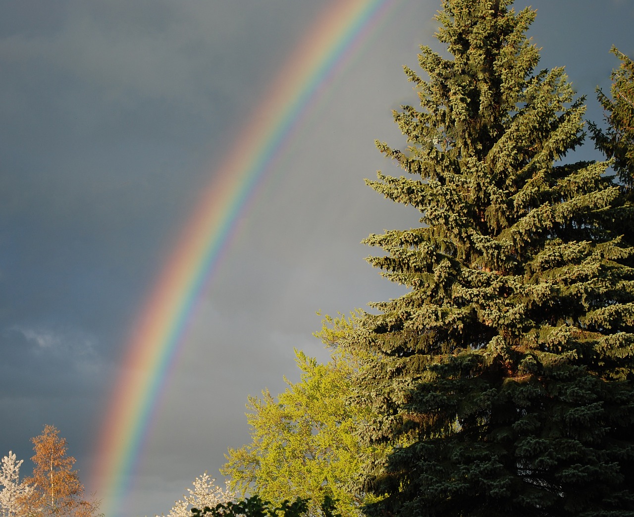 rainbow thunderstorm weather free photo