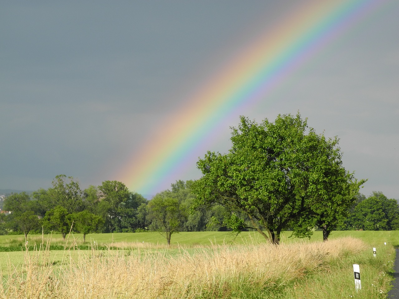 rainbow heaven trees free photo