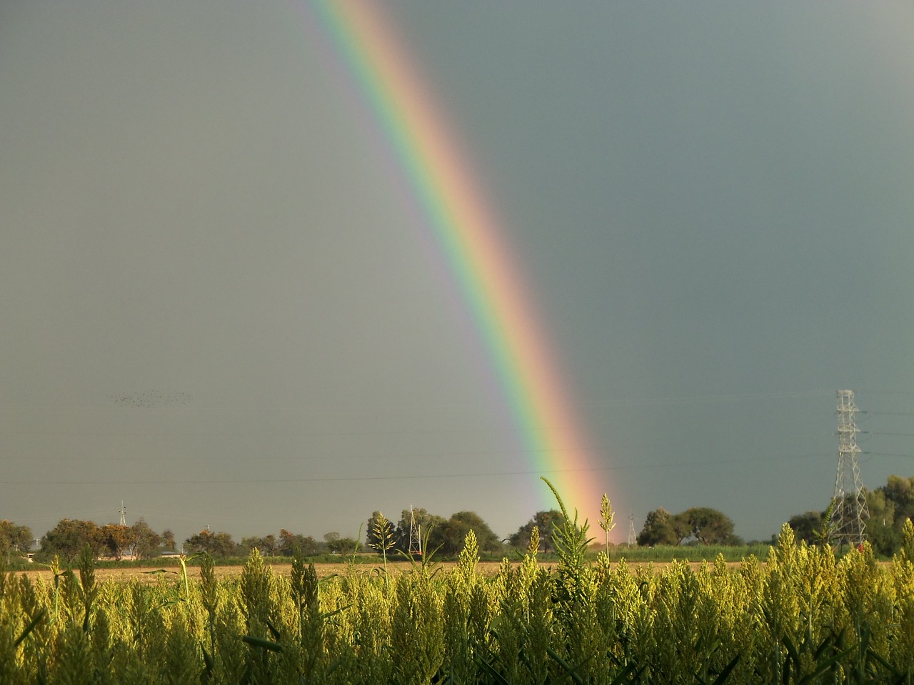 field cloudy rainbow free photo