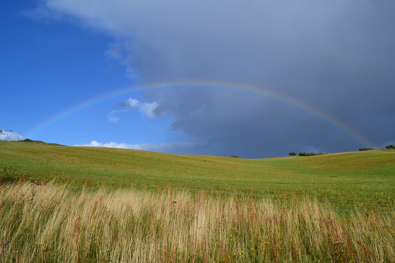 rainbow landscape meadow free photo