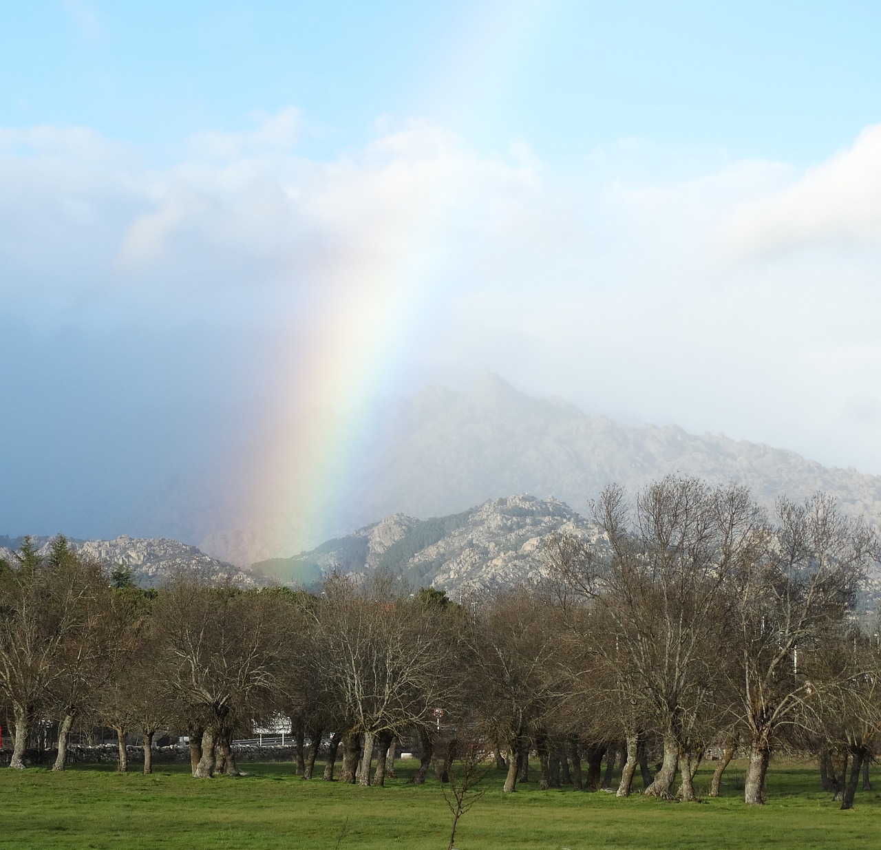 rainbow mountain forest free photo