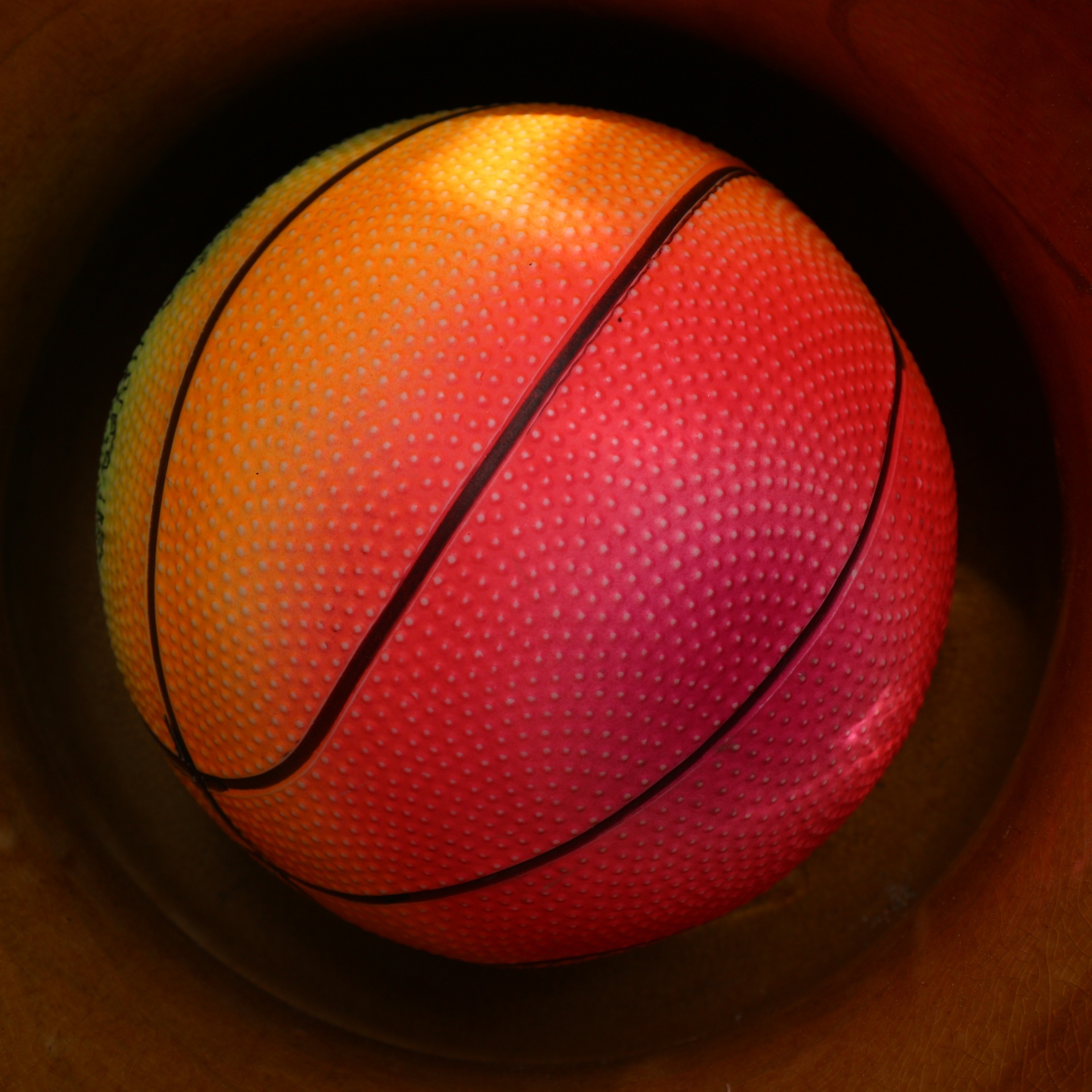 rainbow basketball brown free photo