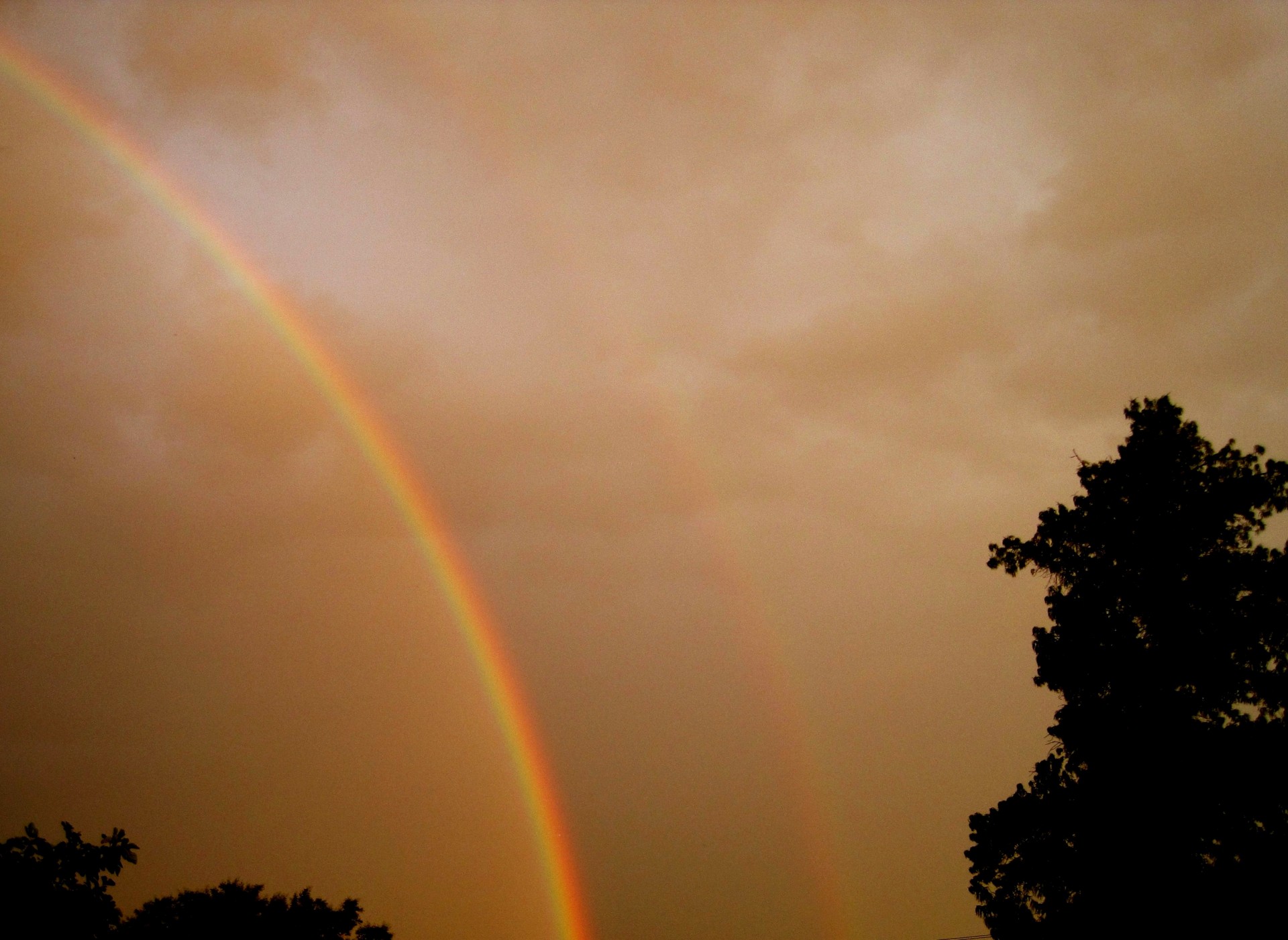 rainbow double sky free photo