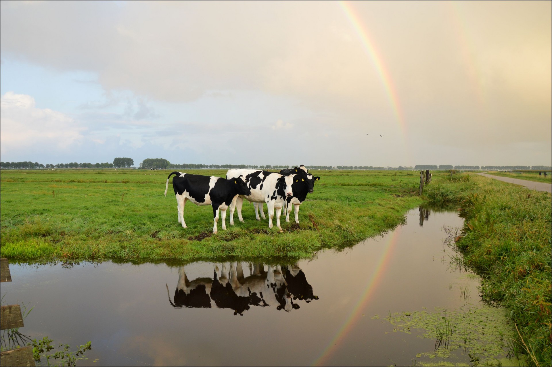 rainbow weather water free photo