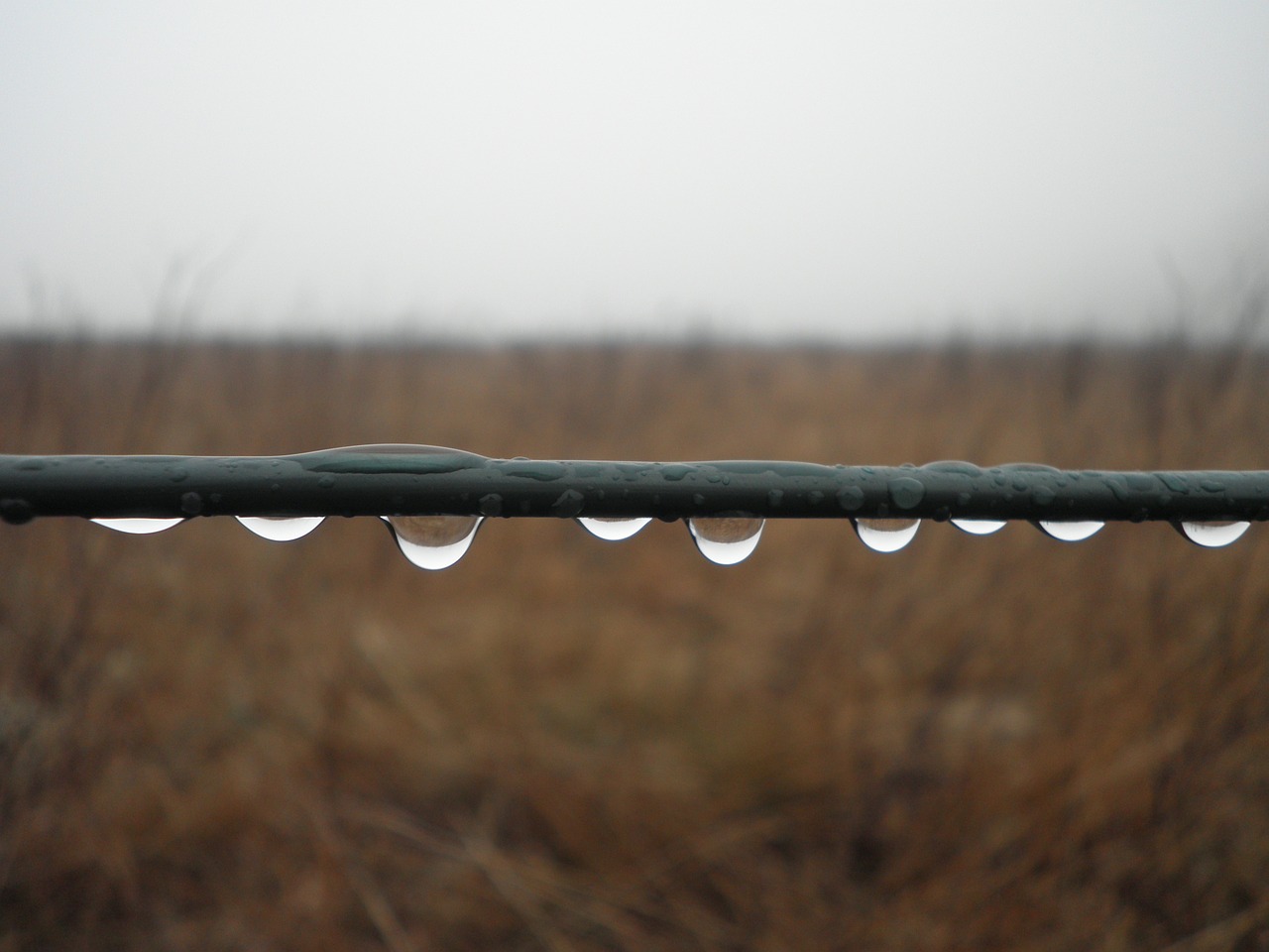 raindrop series wire free photo