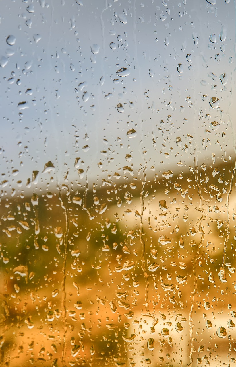 raindrop window glass free photo