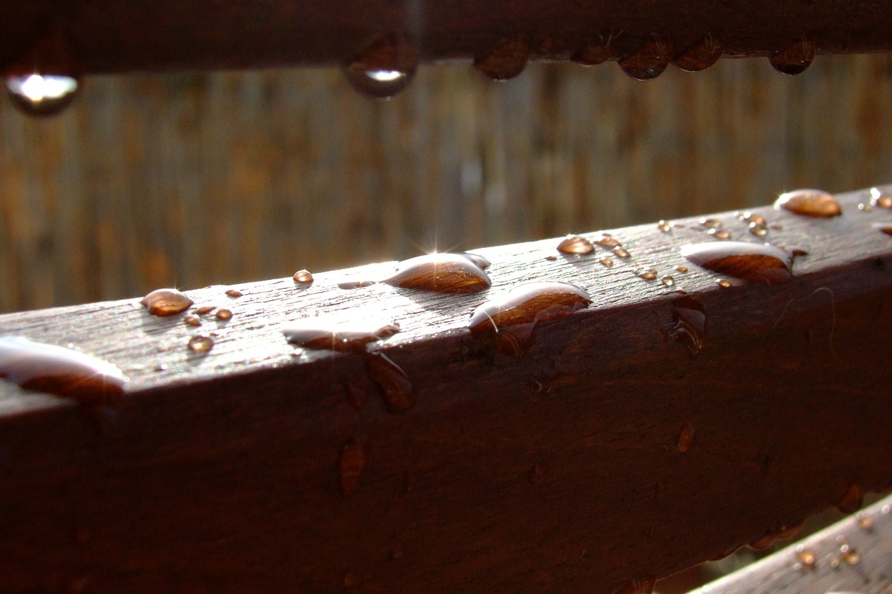 raindrop dew wood free photo