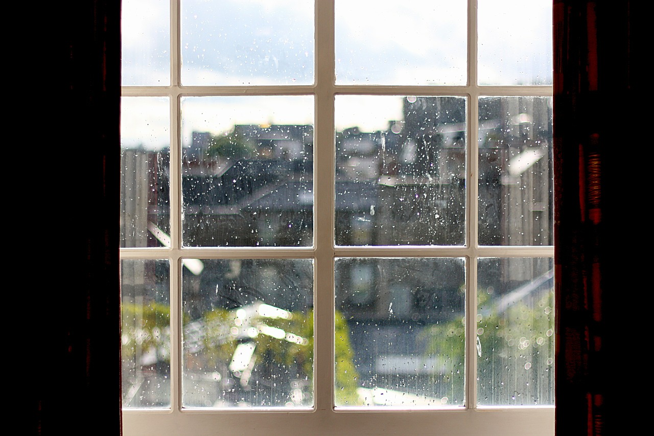 raindrop window drop free photo