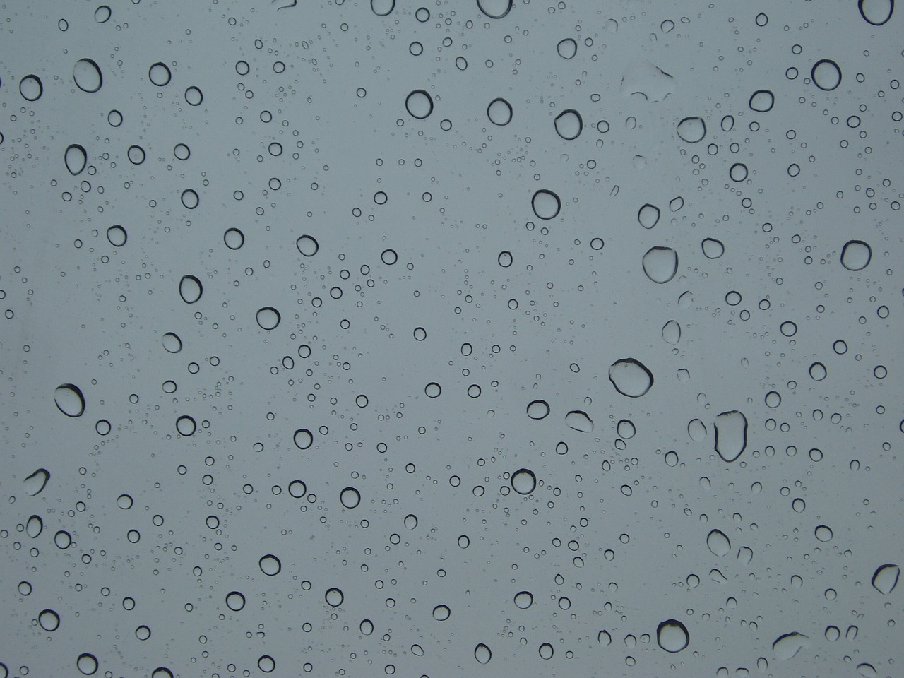 raindrops non trickle free photo