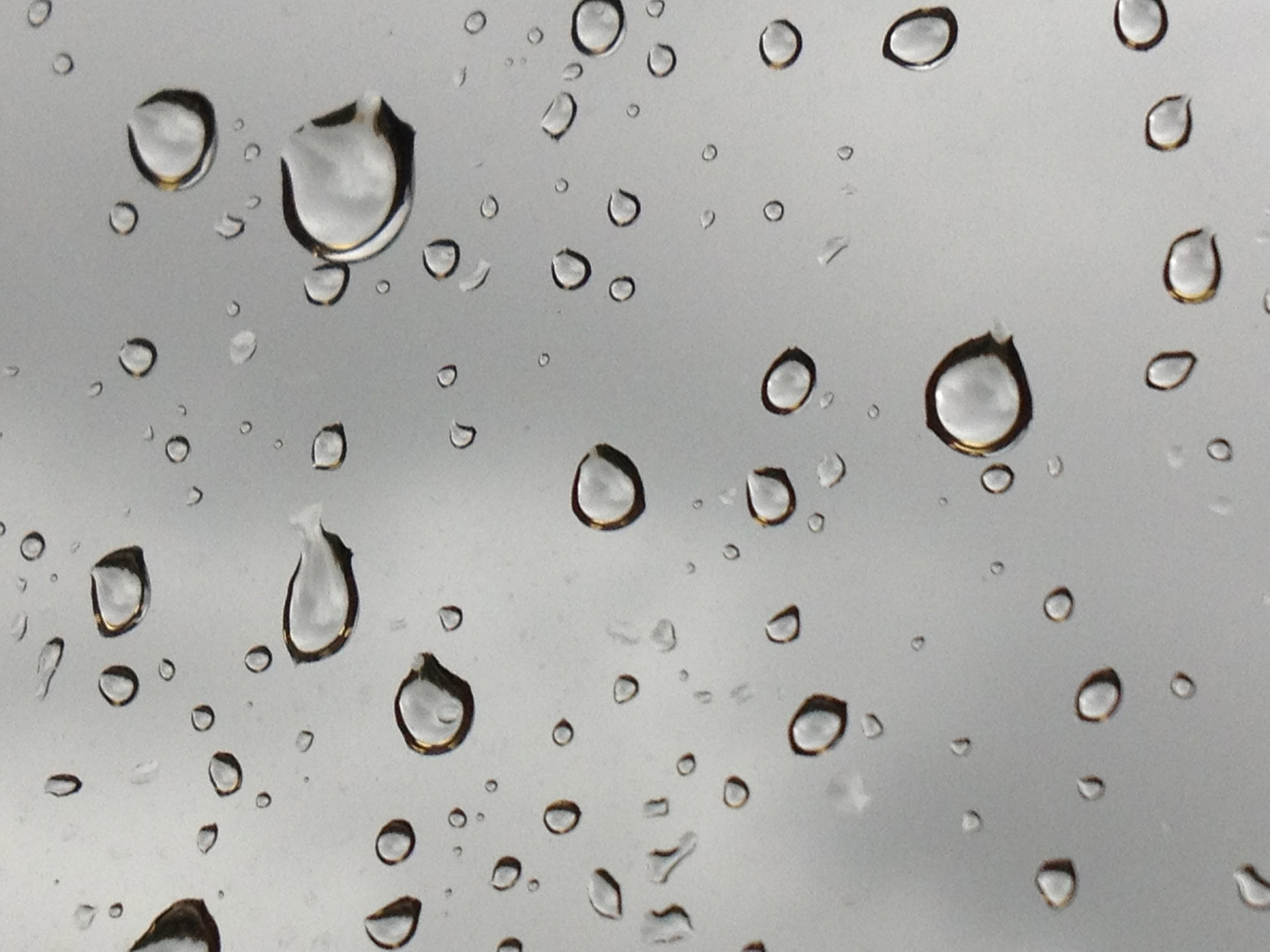 rain raindrops window free photo