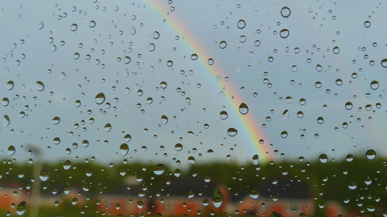 raindrops rain rainbow free photo