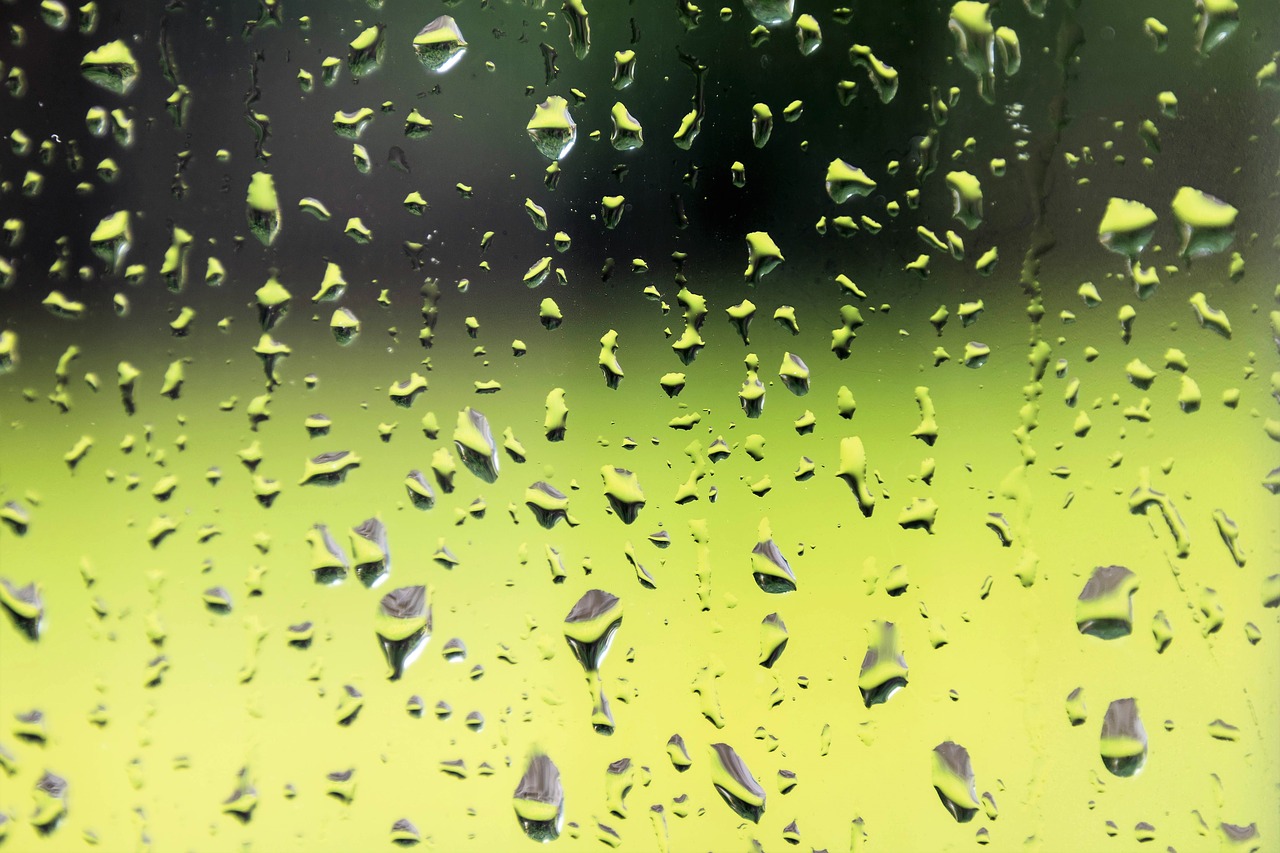 raindrops window glass free photo