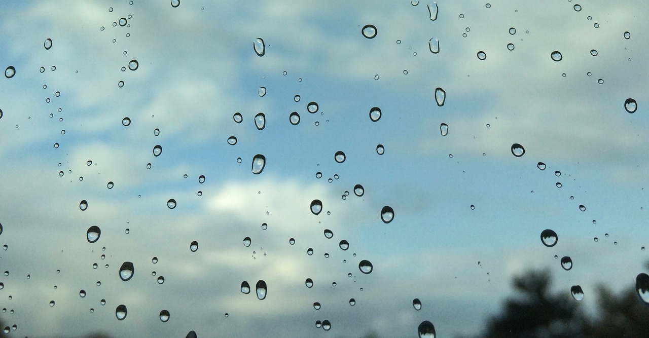 raindrops window drops free photo