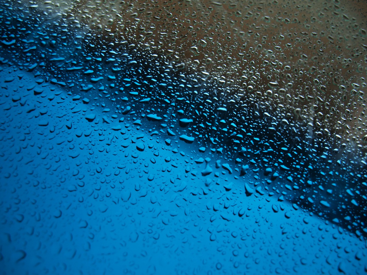 raindrops water drops droplets free photo