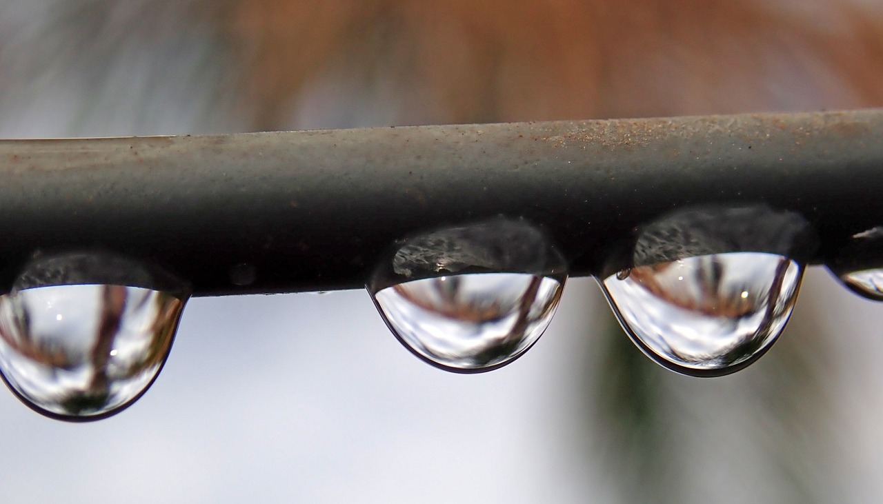 raindrops  water  refraction free photo