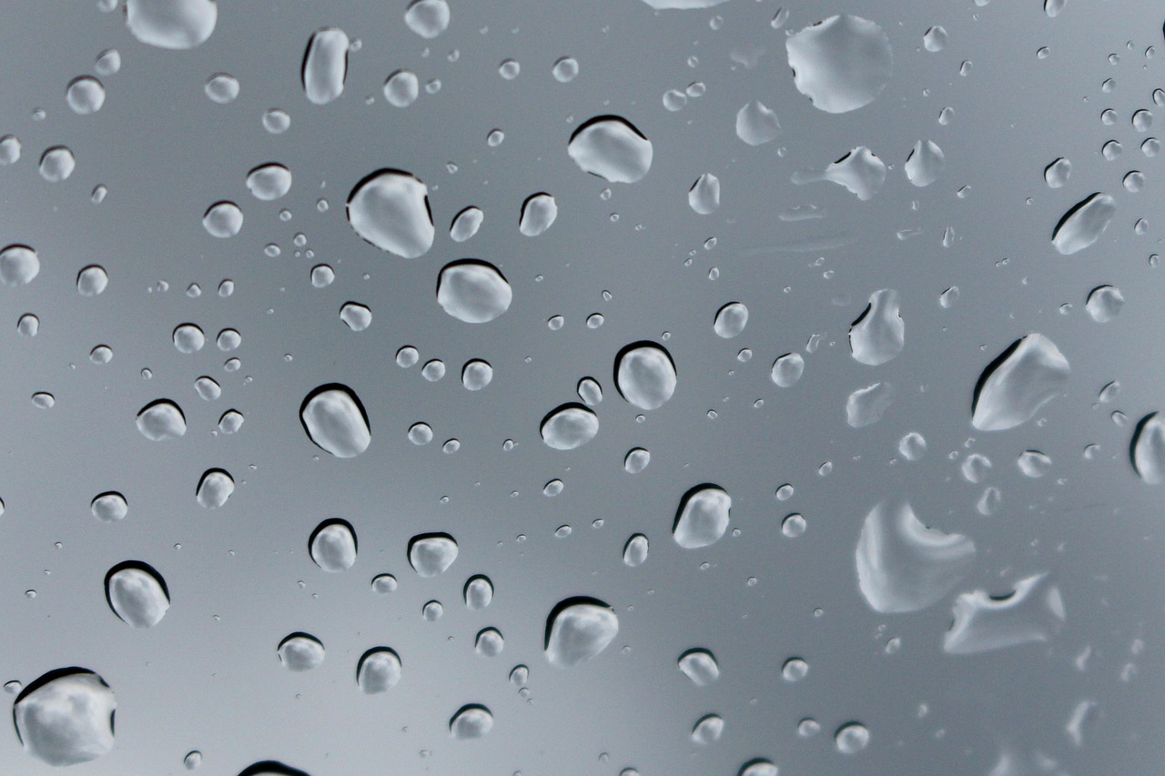 raindrops wet drops free photo