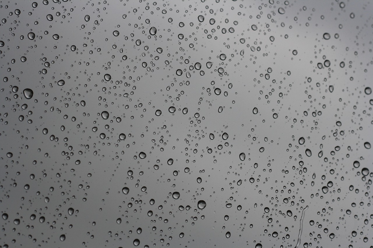 raindrops window water free photo