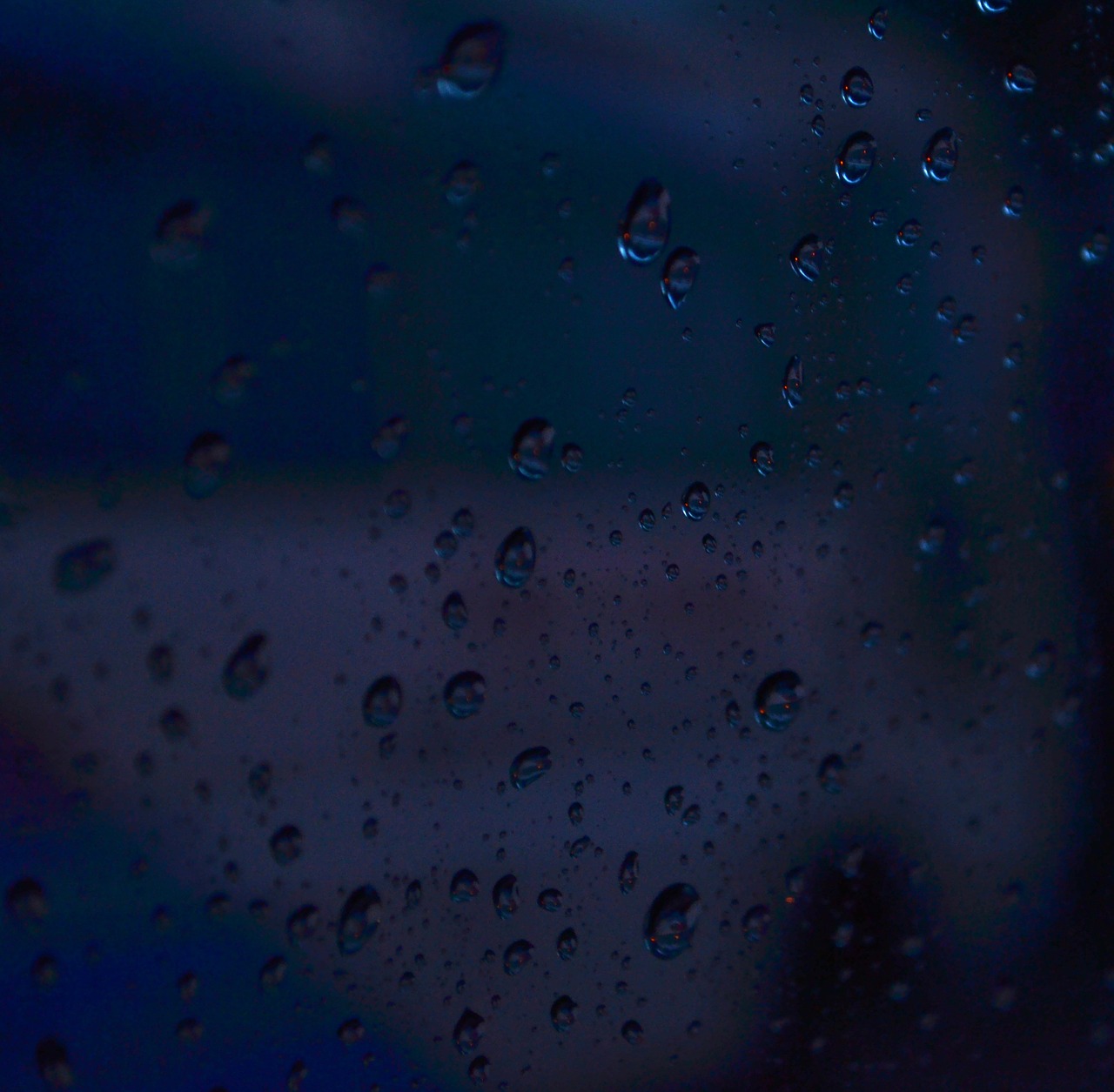 raindrops glass drops free photo