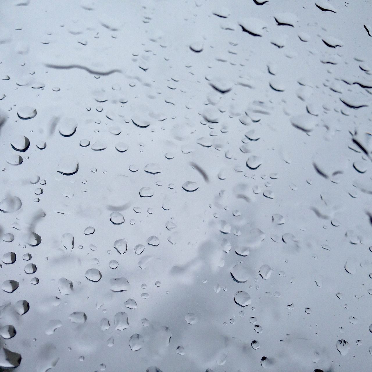 raindrops water drops the window free photo