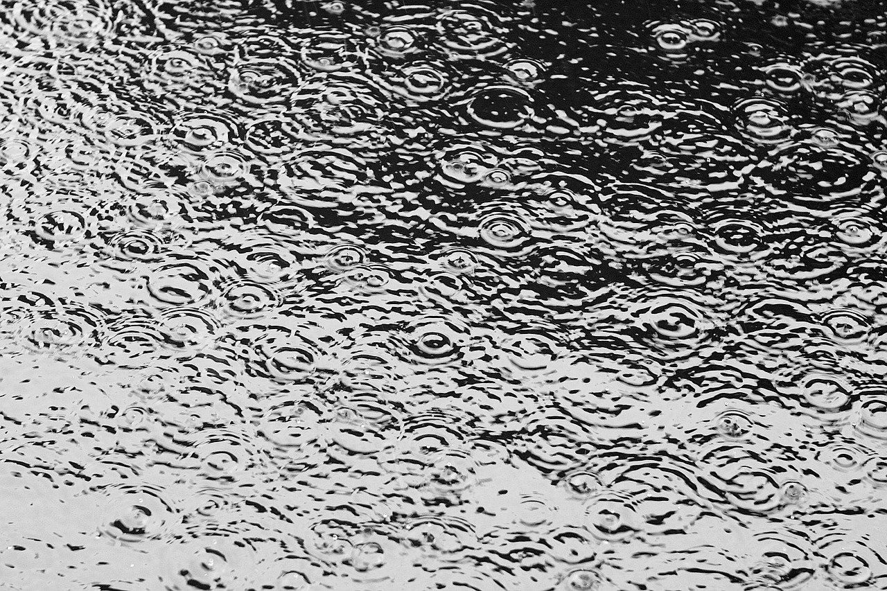 raindrops are falling  rain began to fall  sleek free photo