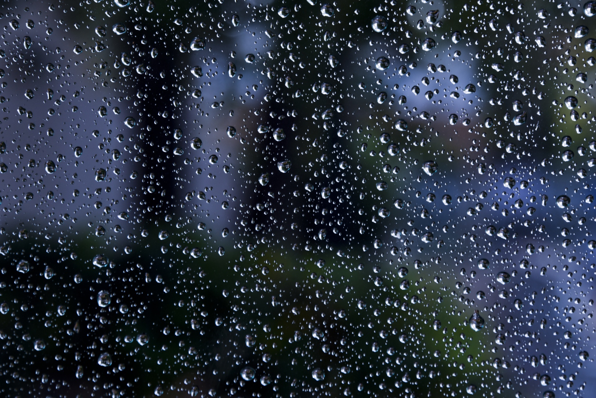 raindrops water droplets rain free photo