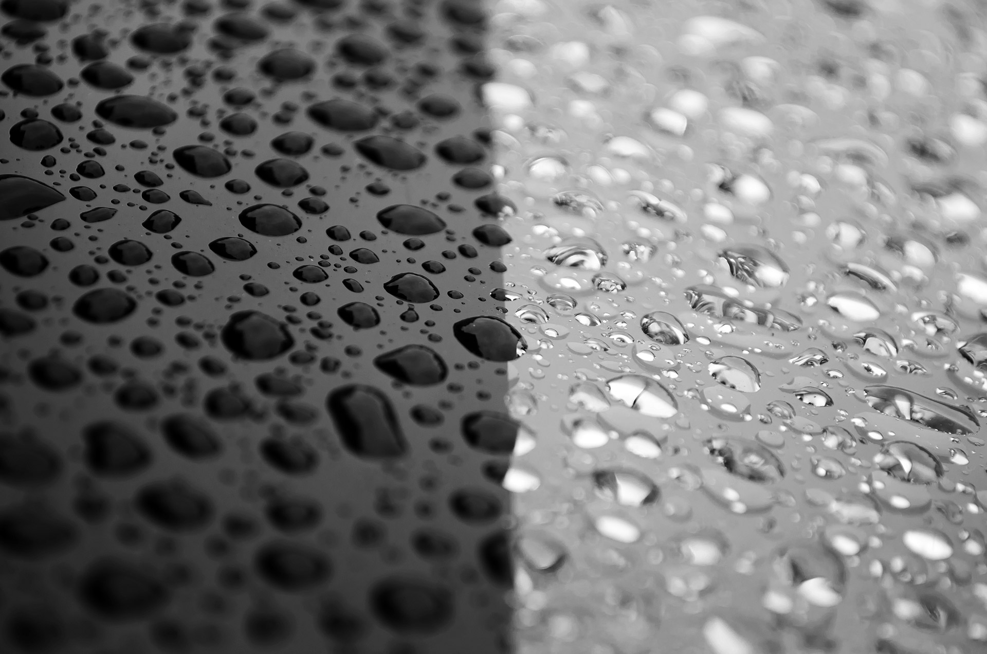 raindrops car drops free photo