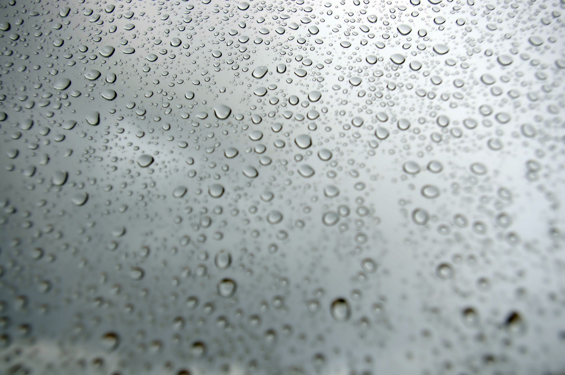 raindrops window splatter free photo