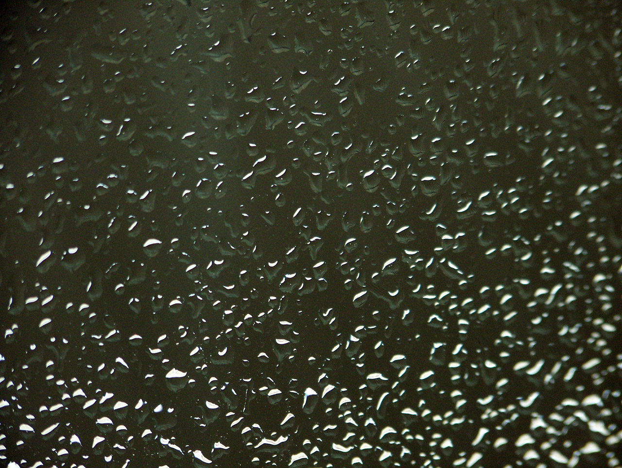 rain raindrops window free photo