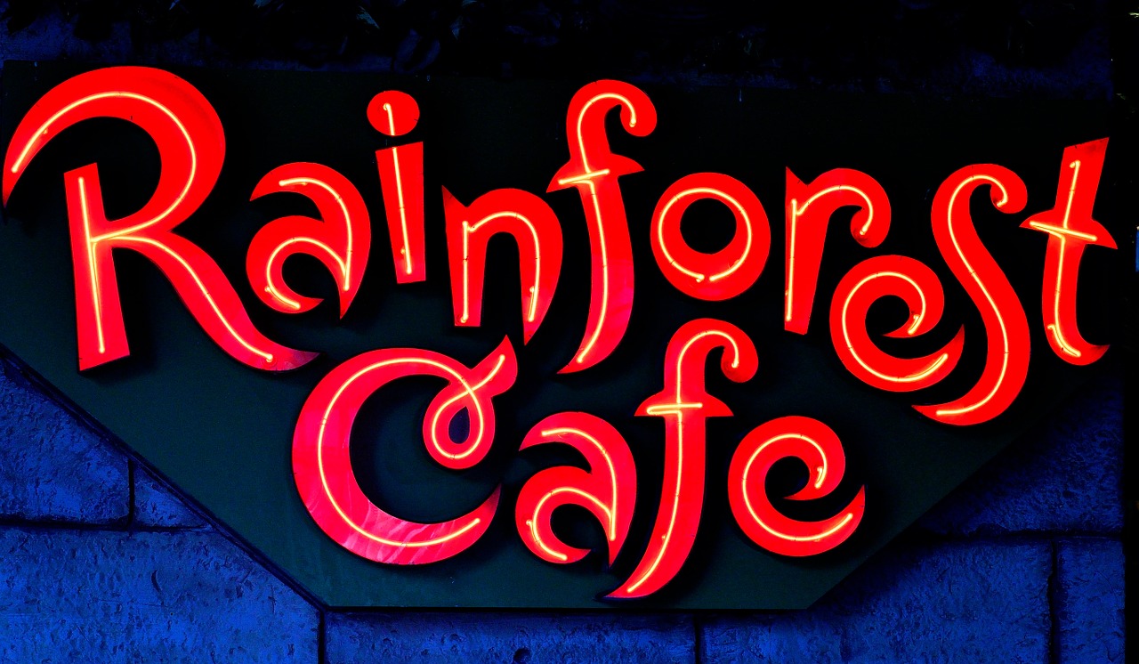 rainforest cafe restaurant tourist free photo