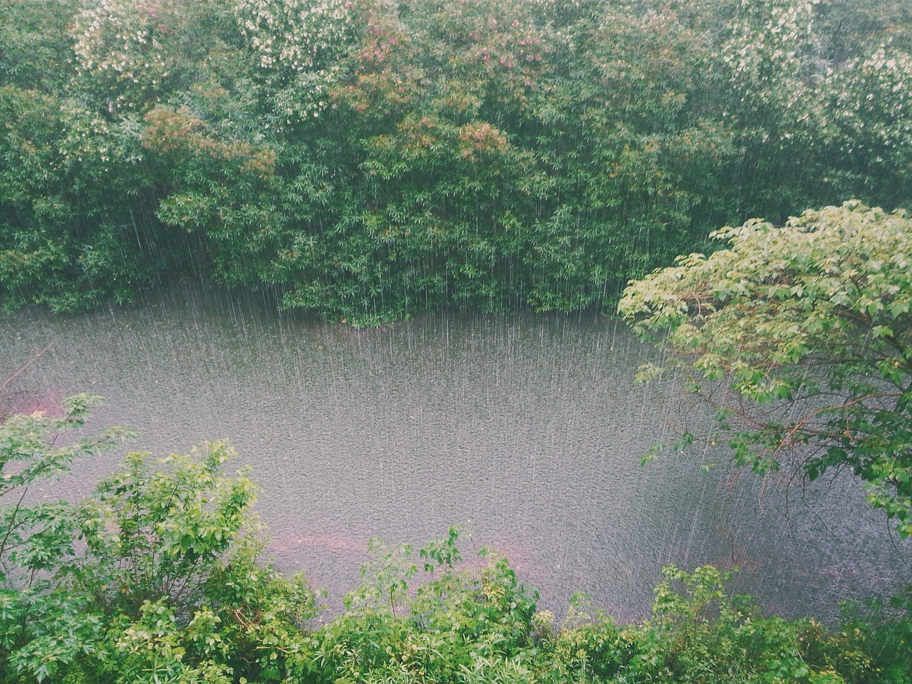 raining rain creek free photo