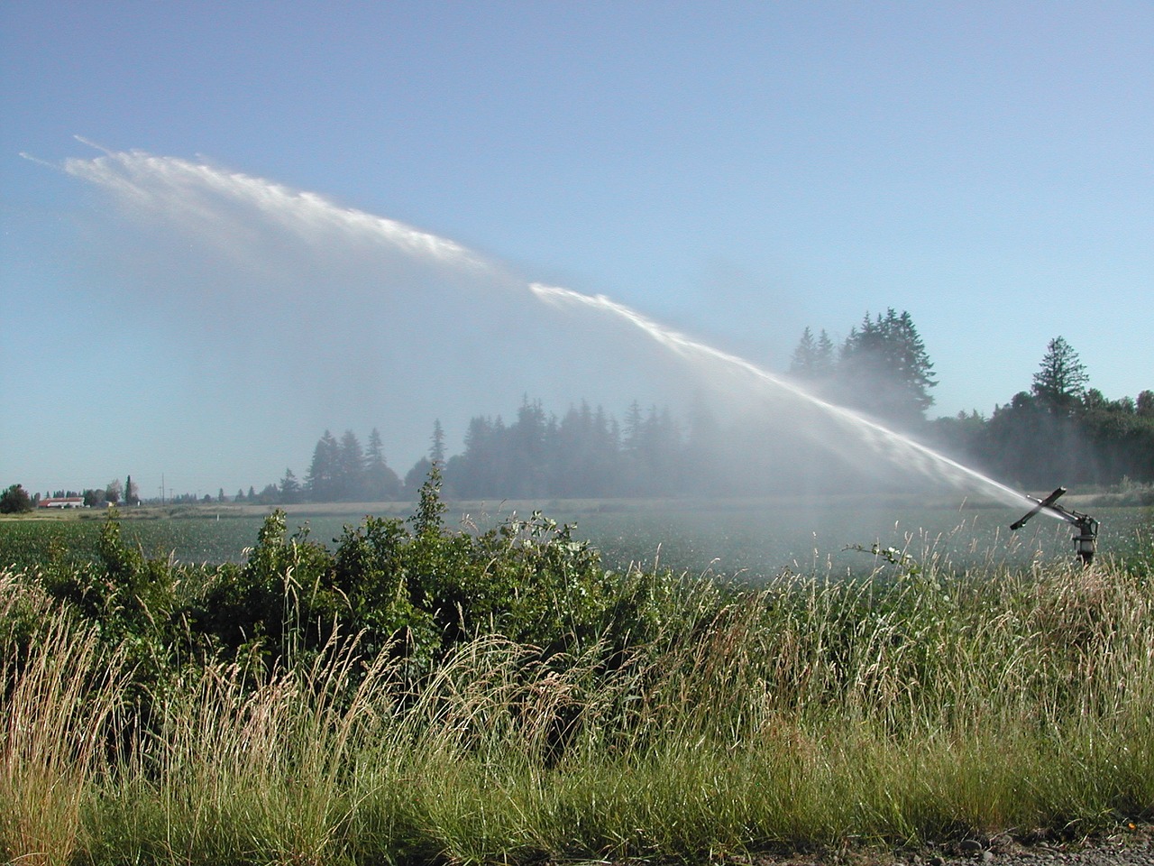 rainmaker sprinkler farming free photo