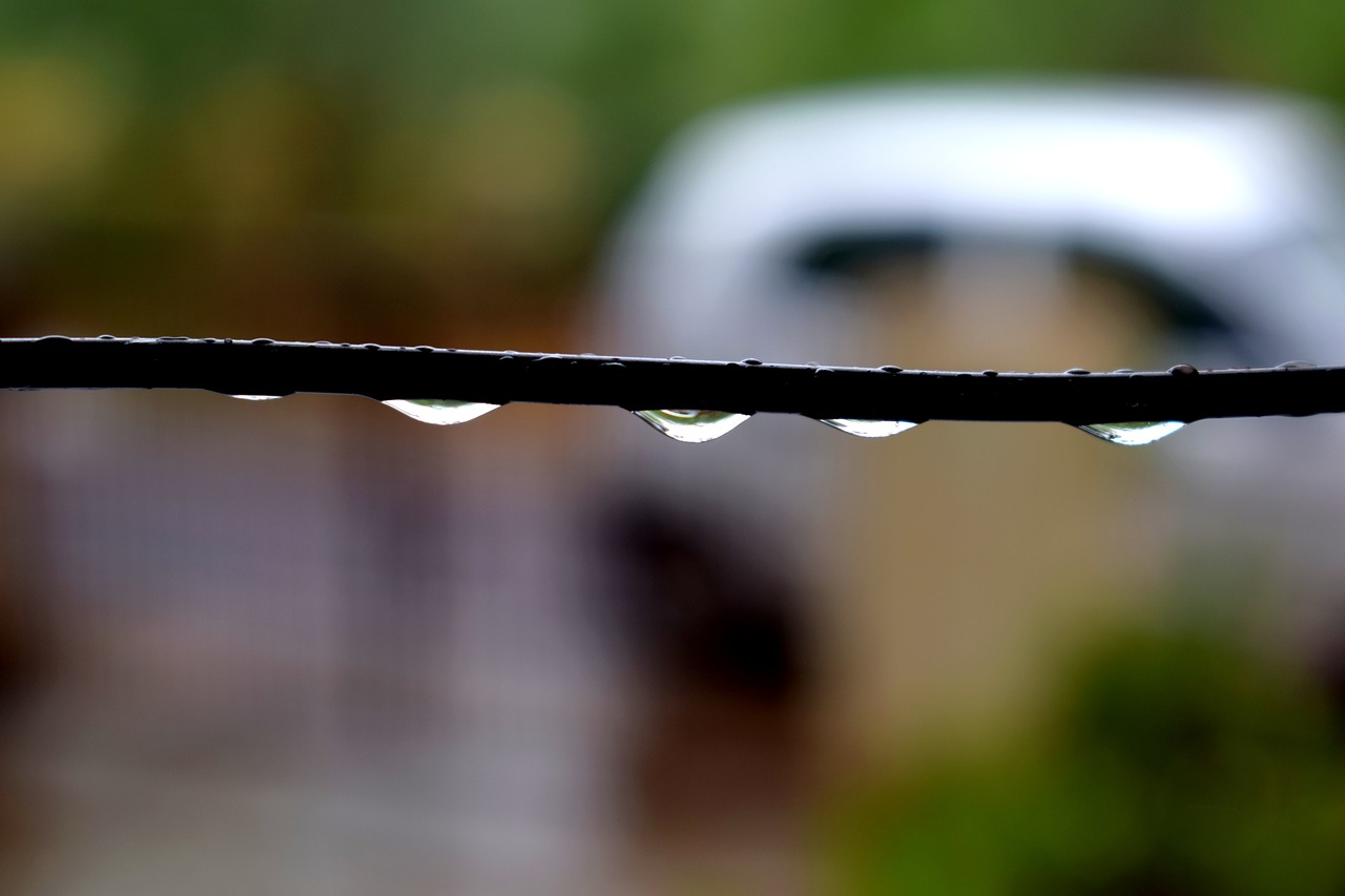 rains drops water free photo