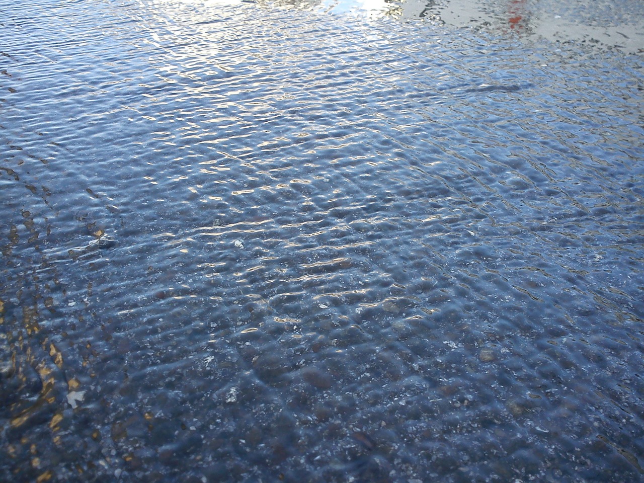 rainwater asphalt wave free photo