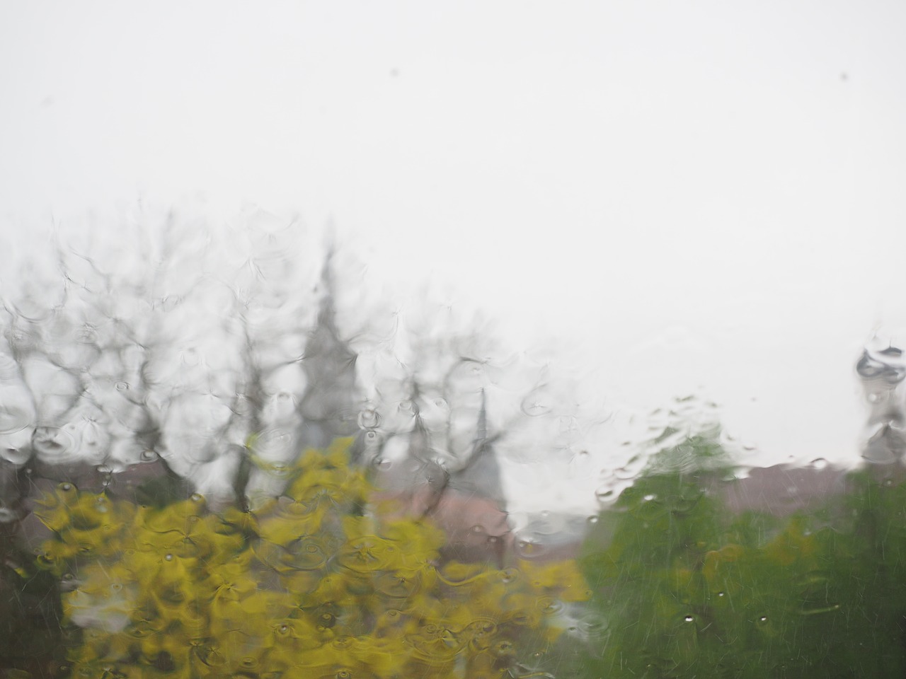 rainy weather ulm rain free photo