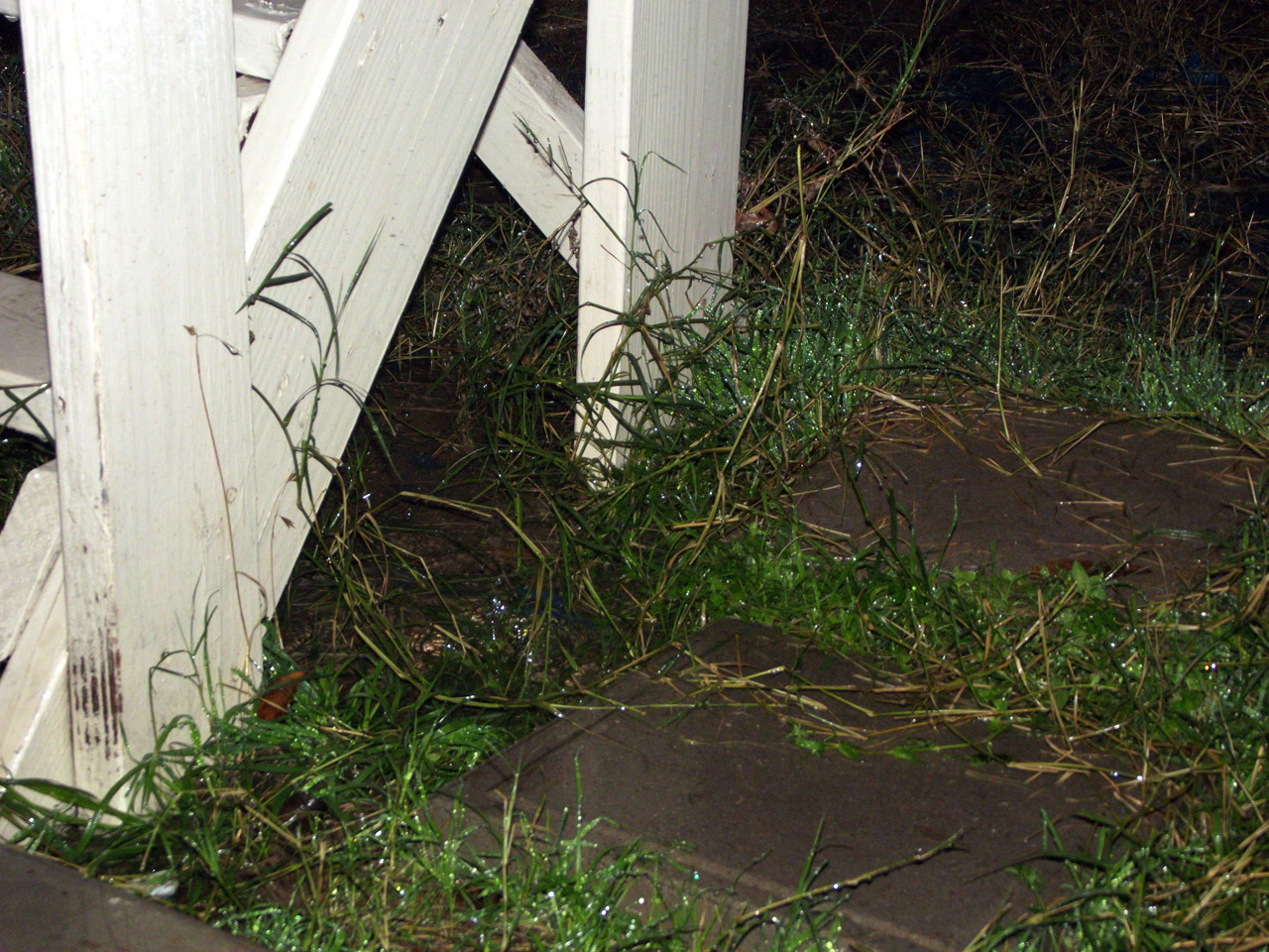 rain wood stairs free photo