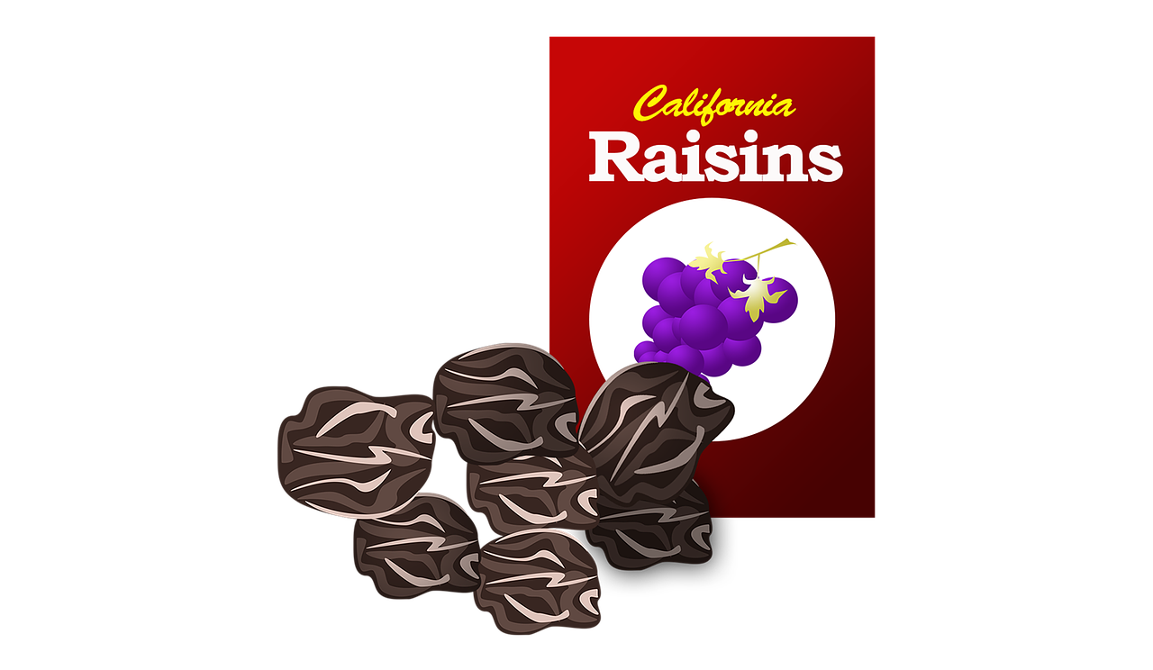 raisins box sweet free photo