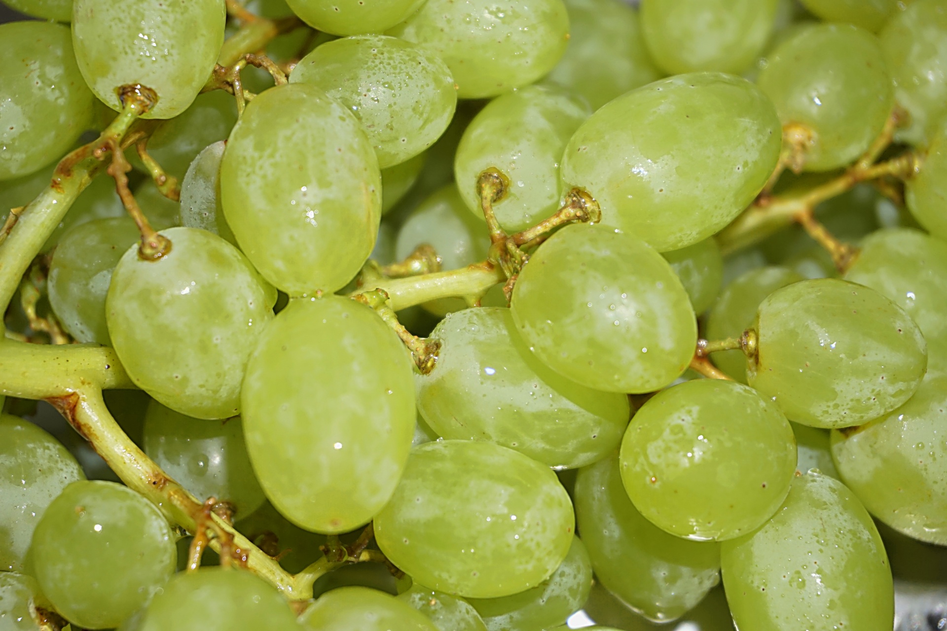 grapes white grapes table free photo