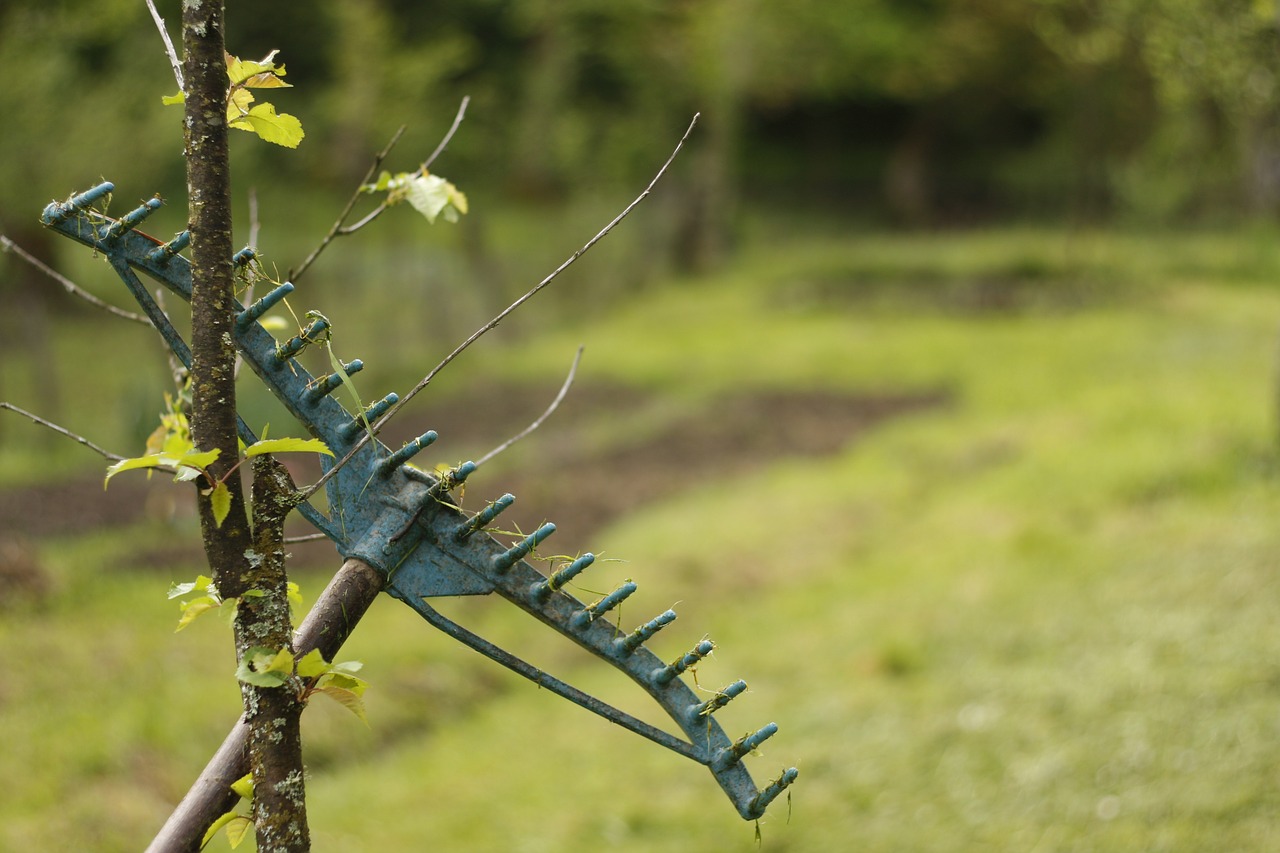 rake tool garden free photo