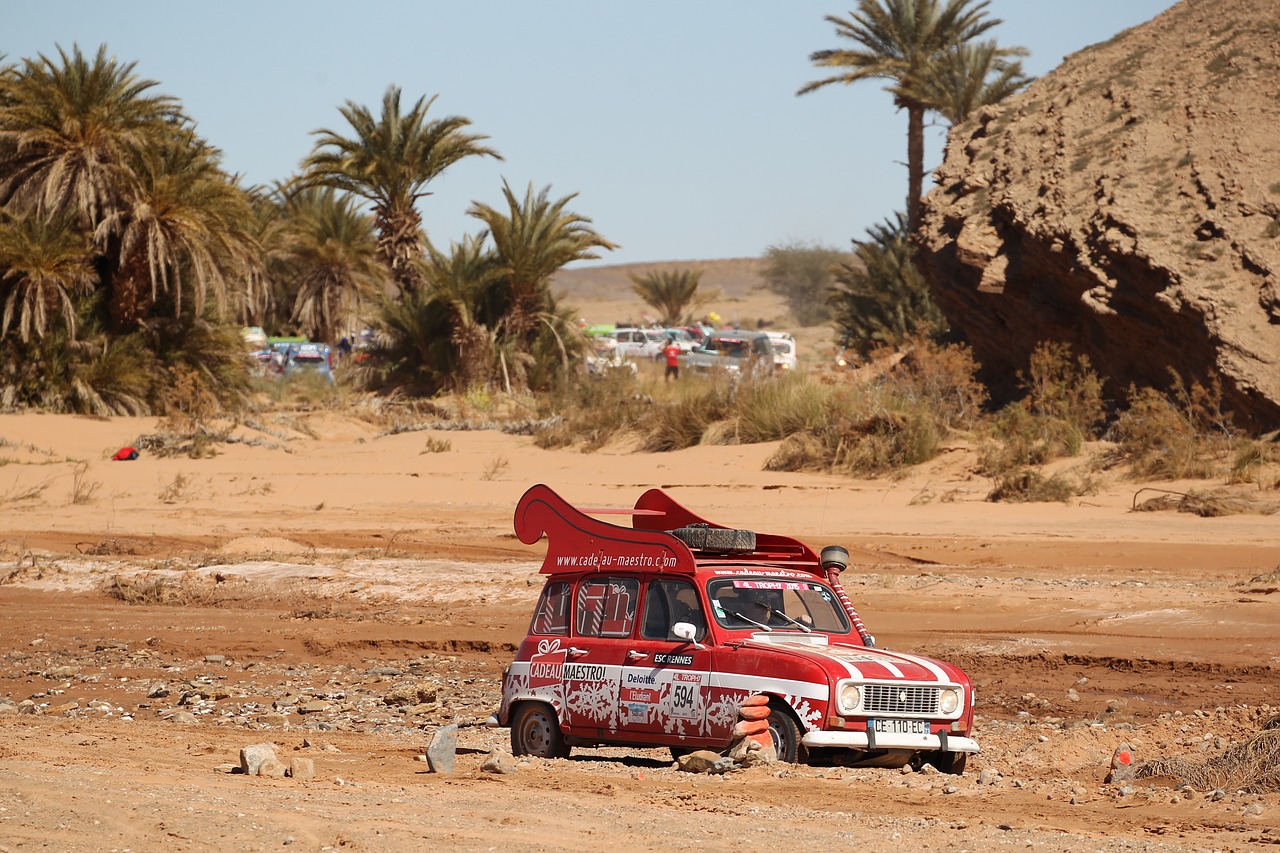 rally  rally off-road  desert free photo