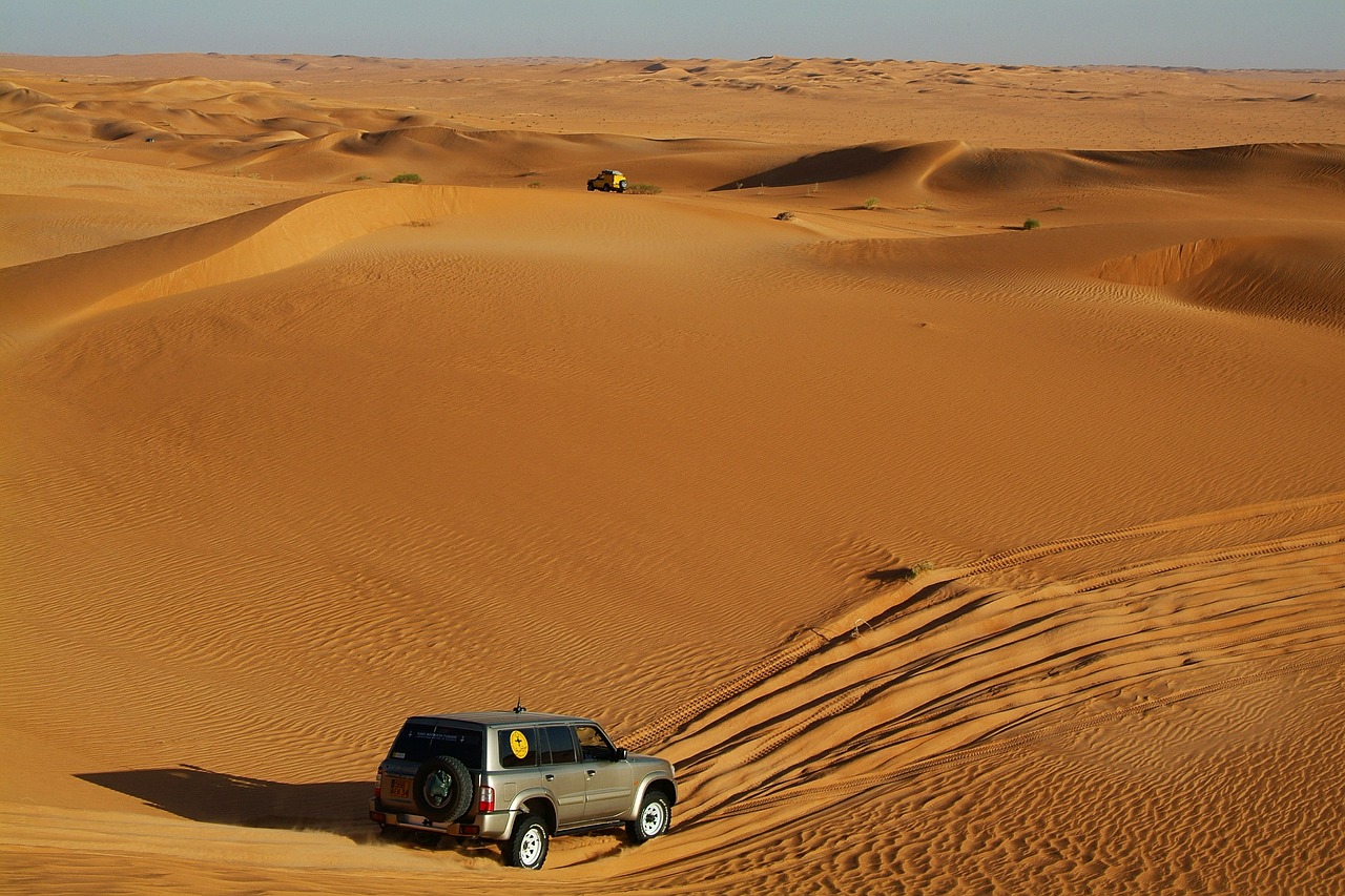 rally off-road sahara desert free photo