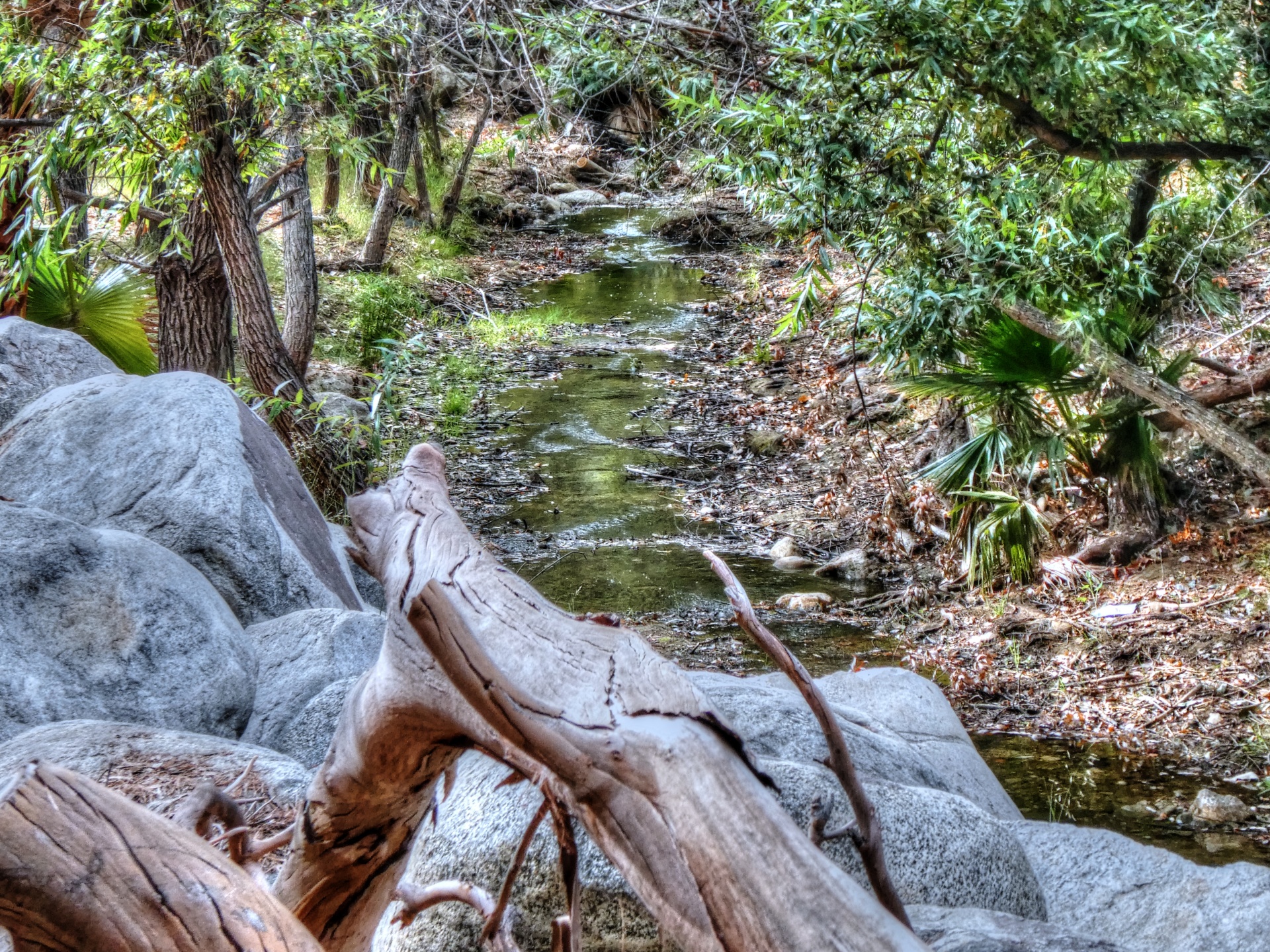brook stream water free photo