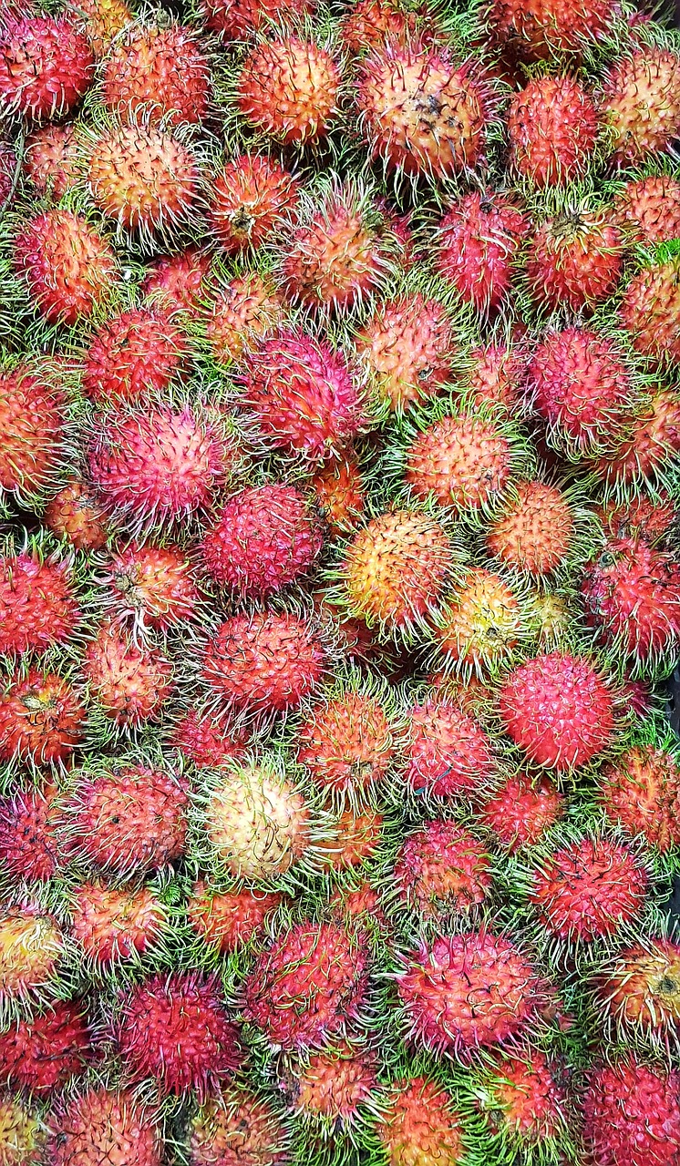 rambutan  fruit  marketplace free photo