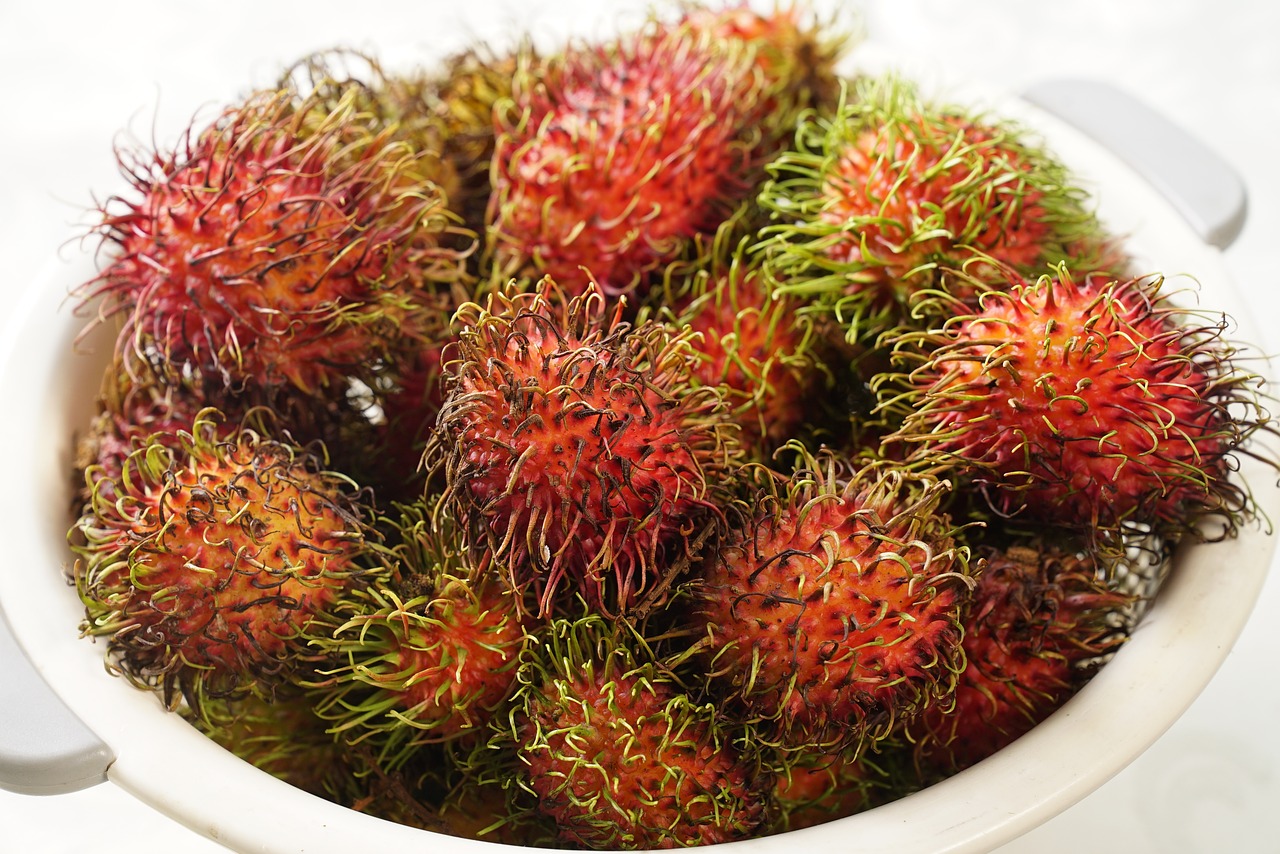 rambutan fruits hairy fruit south east asian free photo