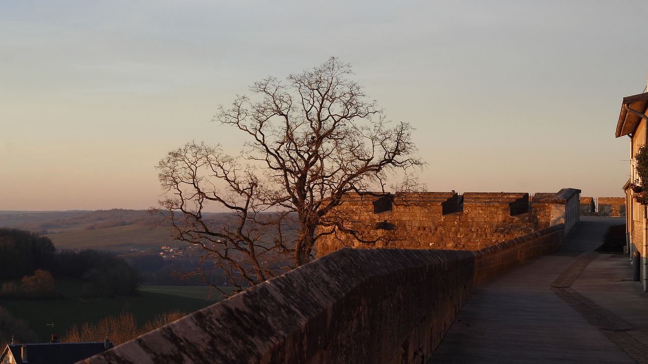 rampart  tree  sunset free photo