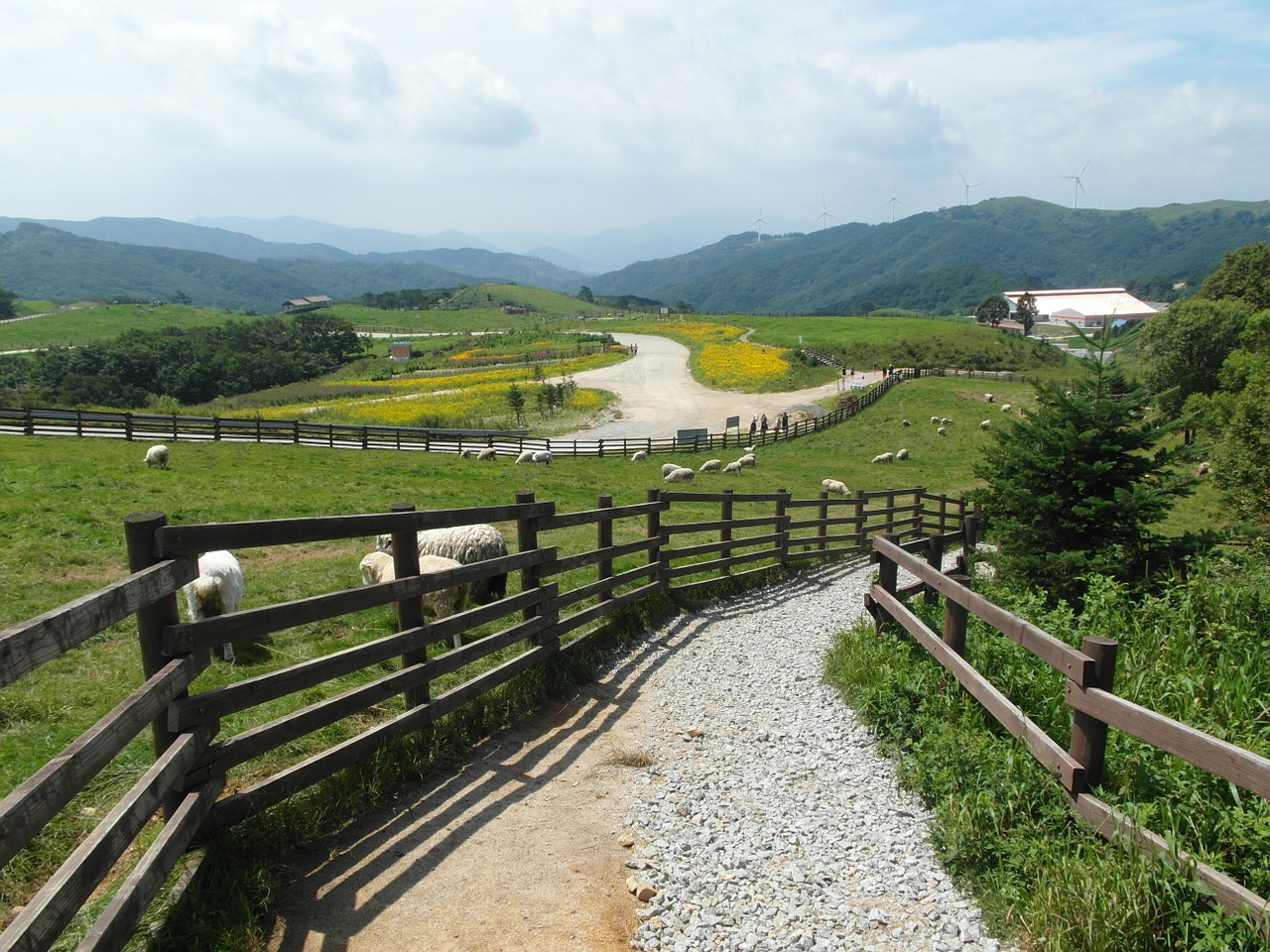 ranch landscape republic of korea free photo