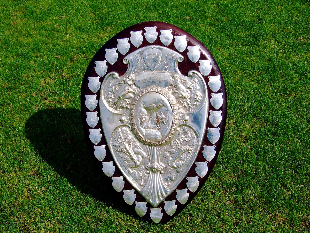 ranfurly shield trophy rugby free photo