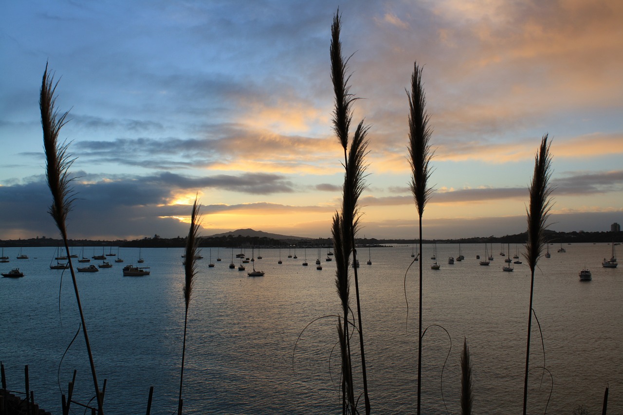 rangitoto volcano dawn free photo