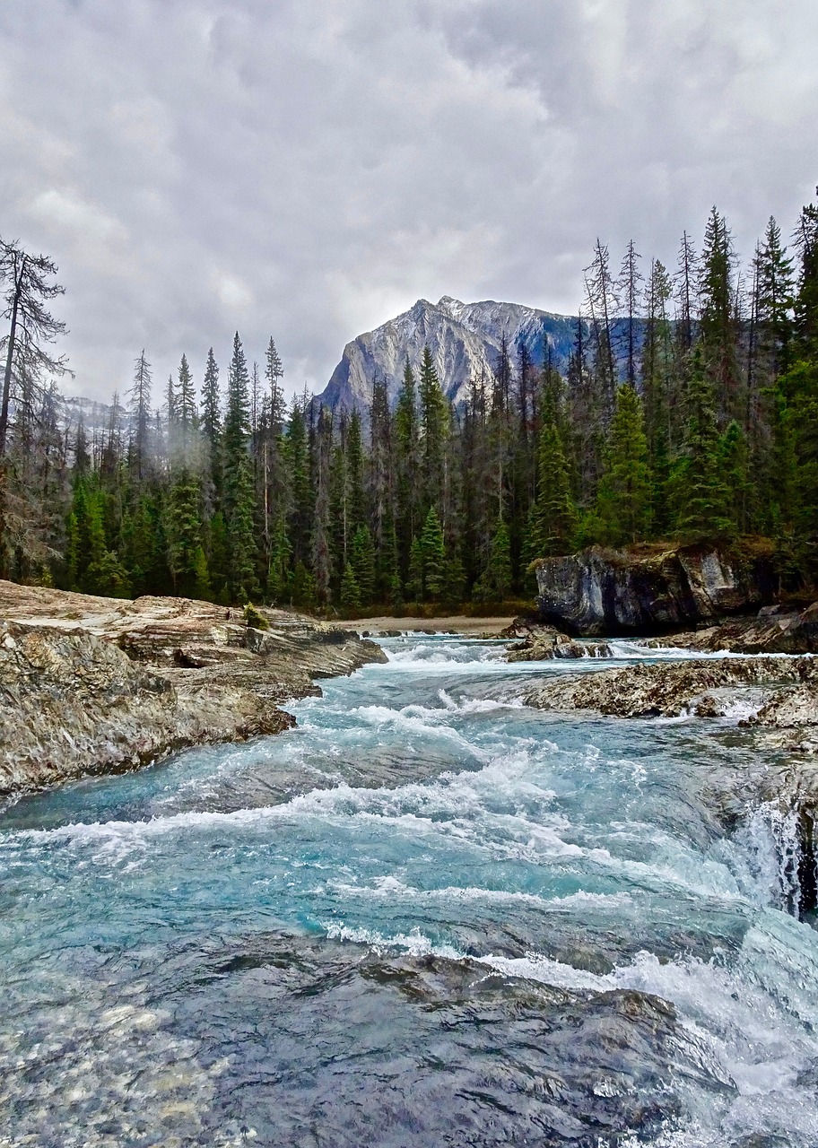 rapids waterfall cascades free photo